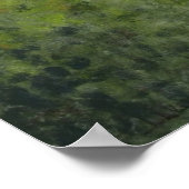 Art - Poster du sommeil (Coin)