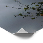 ART POSTER ET STYLE DE CONCEPTION (Coin)