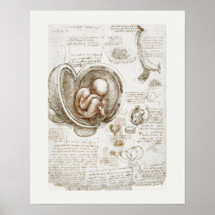 ART POSTER : LEONARDO DA VINCI : ÉTUDE 1510 - 1513