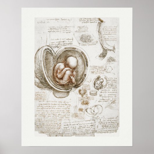 ART POSTER : LEONARDO DA VINCI : ÉTUDE 1510 - 1513 (Devant)