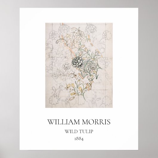 ART POSTER : WILLIAM MORRIS : WILD TULIP : 1884 (Devant)