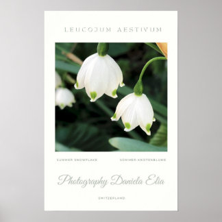 Art Print - „Summer Snowflake“