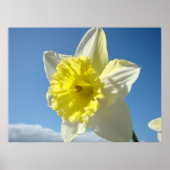 ART PRINTS Geel Daffodil Flowers Canvas Artwork (Voorkant)