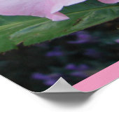 Art Rose rose Fleurs florales Poster photo (Coin)