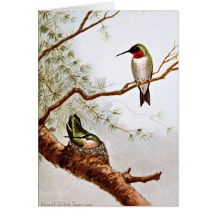Art Rubis-Throated réaliste de colibri