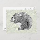 Art Squirrel Briefkaart (Voorkant / Achterkant)