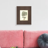  Art Tekening Botanische Olijfboom Canvas (Insitu (Woonkamer))