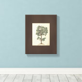  Art Tekening Botanische Olijfboom Canvas (Insitu (Houten vloer))