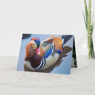 Art van Davey Mandarin Duck Kaart