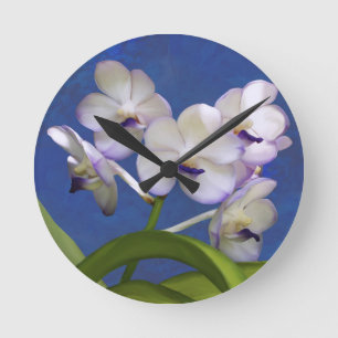 Art. van de Foto van het Plant van bloesems het Ronde Klok