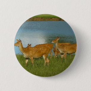 Art. van de Pret van het Lot van de Liefde van de Ronde Button 5,7 Cm
