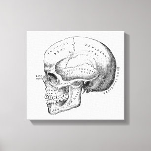 Art. van het Canvas van het Skelet van de Afdruk
