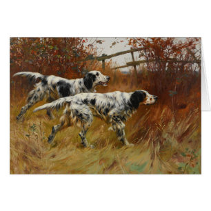 Art vintage - chiens de poseur anglais dans le