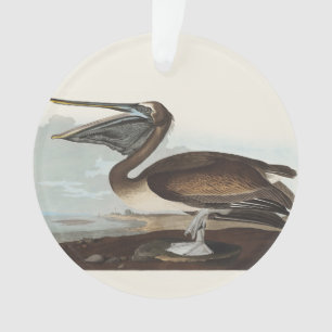 Art vintage d'oiseau côtier de Pélican brun d'Audu