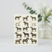 Art vintage Horse Breeds Carte postale imprimée (Debout devant)