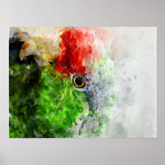 Art Waterverf Parrot Green Paraket Gift Poster