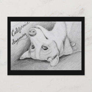 Artaius de Corgi Briefkaart