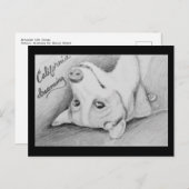 Artaius de Corgi Briefkaart (Voorkant / Achterkant)