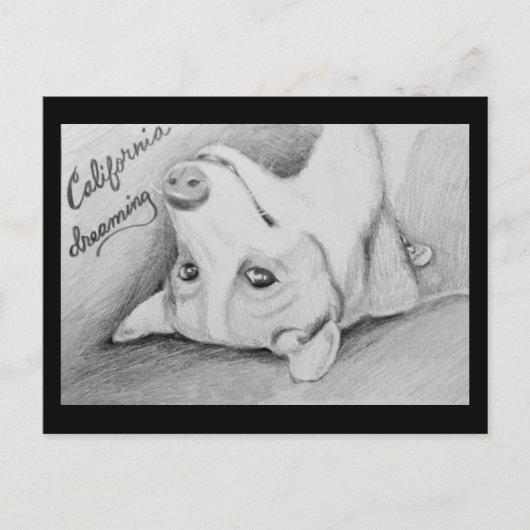 Artaius de Corgi Briefkaart (Voorkant)