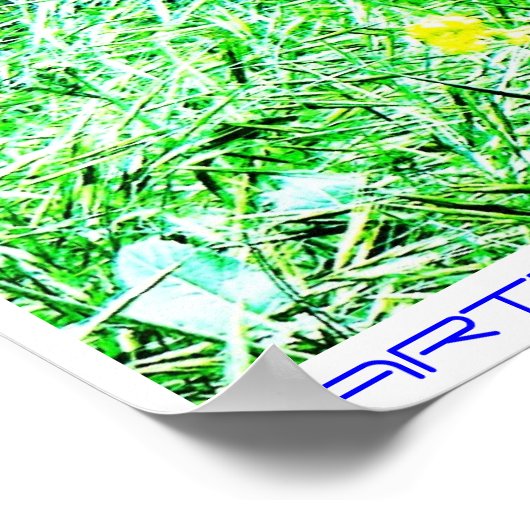 ARTBYCHRISALDRIDGE.COM affiche #2 (Coin)