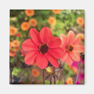 ArtbyLina 66 Magneet