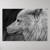 Artc Wolf Poster (Voorkant)