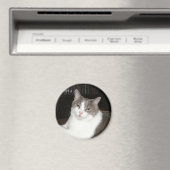 Artemis Magneet (Insitu (Vaatwasser))