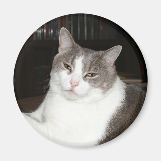 Artemis Magneet (Voorkant)