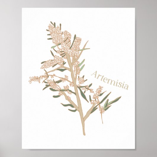 Artemisie Poster (Voorkant)