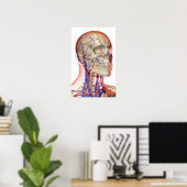 Arterieën en aderen in het hoofd en de nek poster (Thuiskantoor)