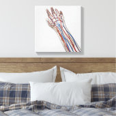 Arteriën, veinen en lymfatisch systeem 3 canvas afdruk (Insitu (Slaapkamer))
