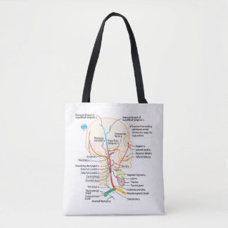 Arteries van het Tas van het hoofd en de nek