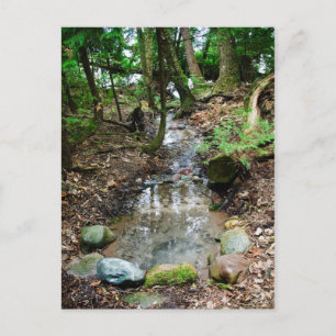 Artesiaanse lente briefkaart