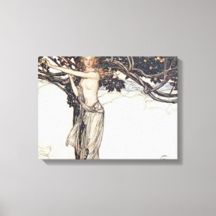 Arthur Rackham Freya Canvas Afdruk