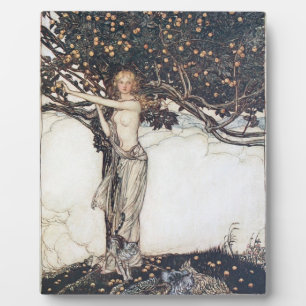 Arthur Rackham Freya The Fair One Fotoplaat