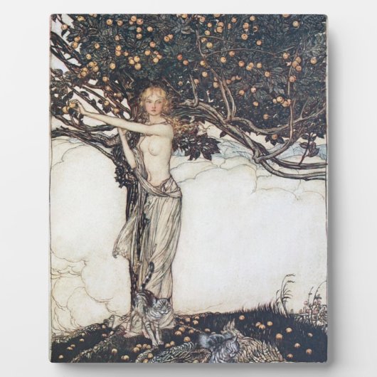 Arthur Rackham Freya The Fair One Fotoplaat (Voorkant)
