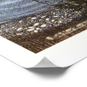 Arthur Rackham - Peter Pan Kensington Gardens Poster (Hoek)