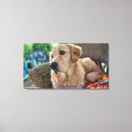 Arthur, September 2025 Canvas Afdruk