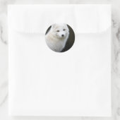 Artic Fox Ronde Sticker (Tas)
