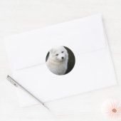 Artic Fox Ronde Sticker (Envelop)