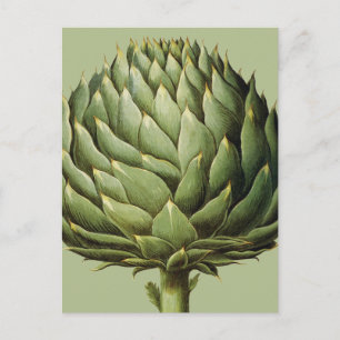 Artichoke, 1613 briefkaart