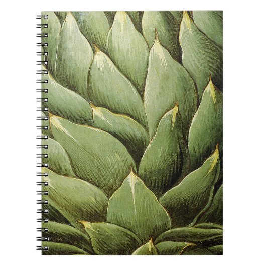 Artichoke, 1613 notitieboek (Voorkant)