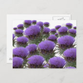 Artichoke Blooms Briefkaart (Voorkant / Achterkant)