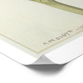 Artichoke: Cynara scolymus, c.1568 Poster (Hoek)