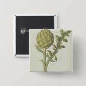 Artichoke: Cynara scolymus, c.1568 Vierkante Button 5,1 Cm (Voorkant /achterkant)