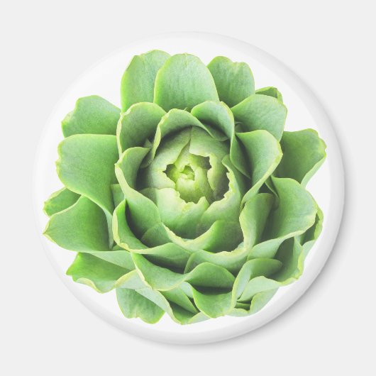 Artichoke Magneet (Voorkant)