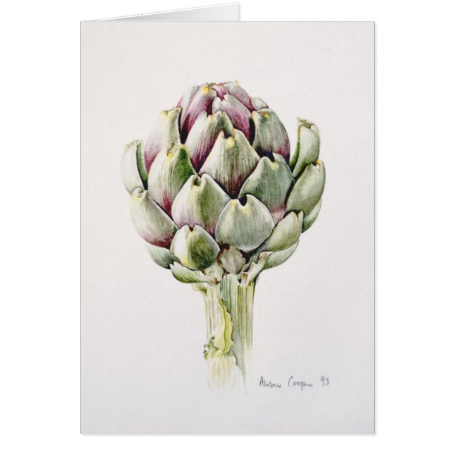 Artichoke Study 1993 (Voorkant)