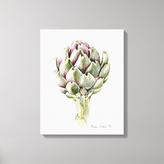 Artichoke Study 1993 Canvas Afdruk (Voorkant)