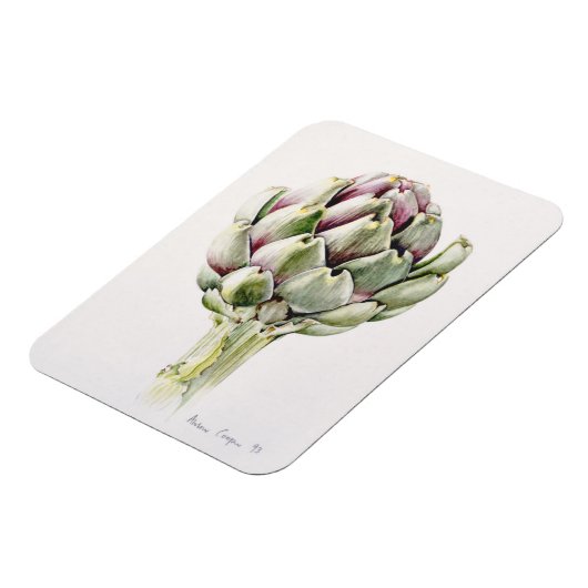 Artichoke Study 1993 Magneet (Linkerzijde)