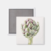 Artichoke Study 1993 Magneet (Voorkant / Achterkant)